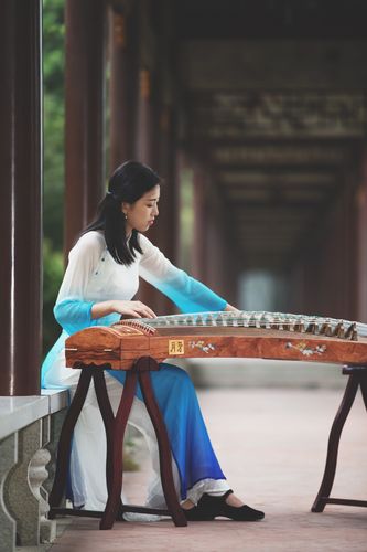 初学者买什么古筝好